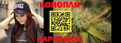 прущие грибы Можайск