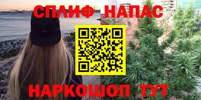 прущие грибы Можайск