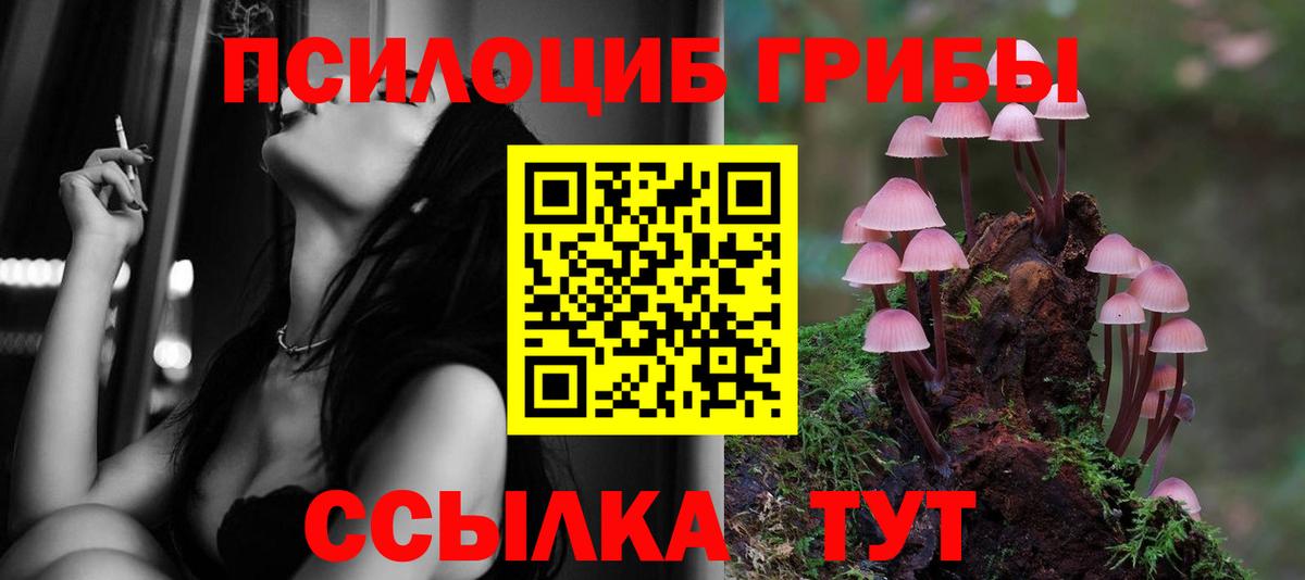 Чапаевск  Галлюциногенные грибы ЛСД  Псилоцибиновые грибы Psilocybe  Вход с VPN 