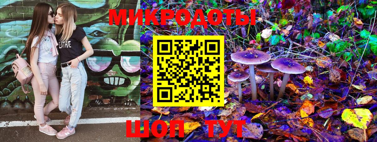 Псилоцибиновые грибы мухоморы Чапаевск
